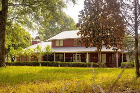 170 Acres with Farmhouse in St. Helena Parish, LA for Sale - image 11