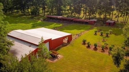 170 Acres with Farmhouse in St. Helena Parish, LA for Sale - image 3