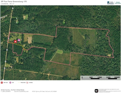 170 Acres with Farmhouse in St. Helena Parish, LA for Sale - image 48