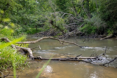 170 Acres with Farmhouse in St. Helena Parish, LA for Sale - image 38