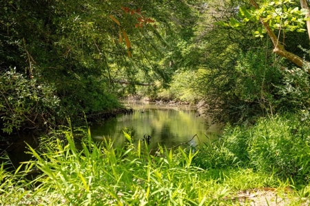 170 Acres with Farmhouse in St. Helena Parish, LA for Sale - image 39