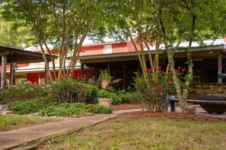 170 Acres with Farmhouse in St. Helena Parish, LA for Sale - image 14