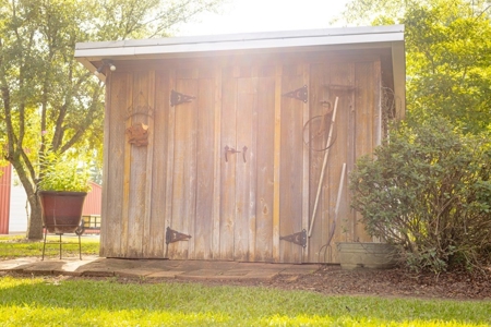 170 Acres with Farmhouse in St. Helena Parish, LA for Sale - image 13