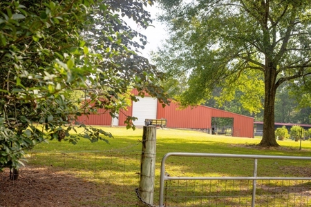 170 Acres with Farmhouse in St. Helena Parish, LA for Sale - image 2