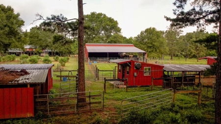 170 Acres with Farmhouse in St. Helena Parish, LA for Sale - image 6
