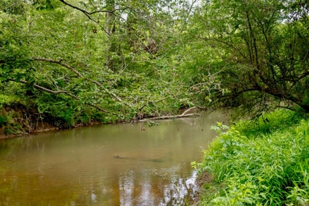 170 Acres with Farmhouse in St. Helena Parish, LA for Sale - image 36