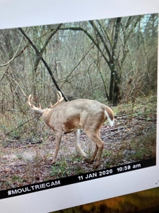 170 Acres with Farmhouse in St. Helena Parish, LA for Sale - image 43