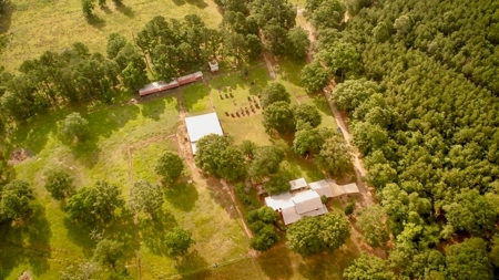 170 Acres with Farmhouse in St. Helena Parish, LA for Sale - image 5