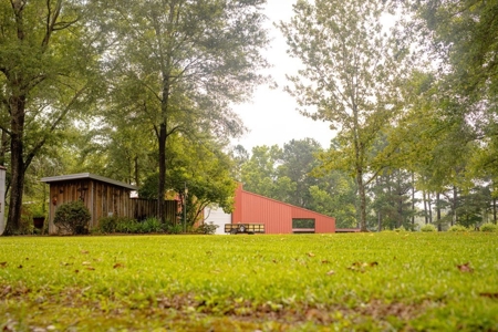 170 Acres with Farmhouse in St. Helena Parish, LA for Sale - image 10