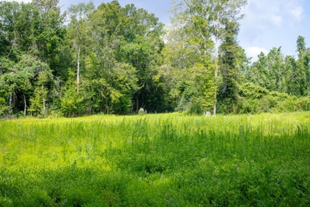 170 Acres with Farmhouse in St. Helena Parish, LA for Sale - image 34