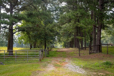 170 Acres with Farmhouse in St. Helena Parish, LA for Sale - image 25