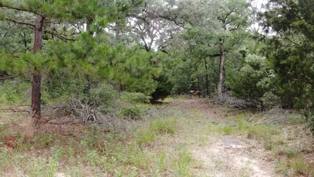 Country Home on Acreage in LaRue, Texas - image 12