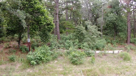 Country Home on Acreage in LaRue, Texas - image 10