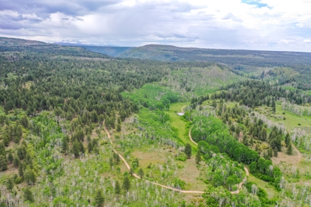 Exceptional Mountain Property for Sale in Dolores CO! - image 8