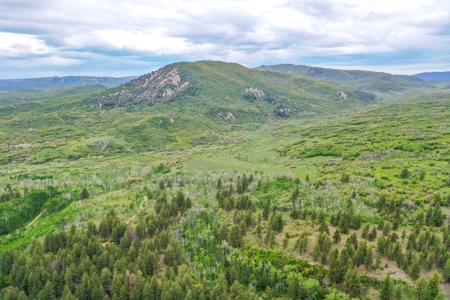 Exceptional Mountain Property for Sale in Dolores CO! - image 2