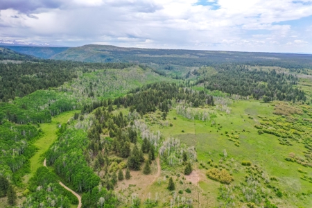 Exceptional Mountain Property for Sale in Dolores CO! - image 7