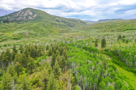 Exceptional Mountain Property for Sale in Dolores CO! - image 10