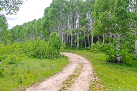 Exceptional Mountain Property for Sale in Dolores CO! - image 16