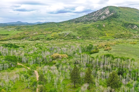 Exceptional Mountain Property for Sale in Dolores CO! - image 11