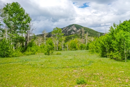 Exceptional Mountain Property for Sale in Dolores CO! - image 15