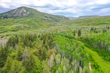 Exceptional Mountain Property for Sale in Dolores CO! - image 9