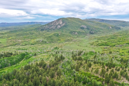 Exceptional Mountain Property for Sale in Dolores CO! - image 4