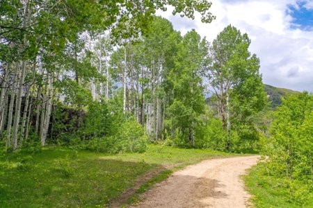 Exceptional Mountain Property for Sale in Dolores CO! - image 20
