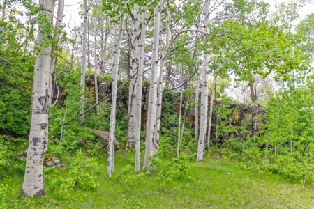 Exceptional Mountain Property for Sale in Dolores CO! - image 19