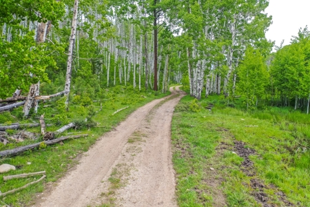 Exceptional Mountain Property for Sale in Dolores CO! - image 22