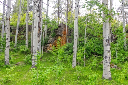Exceptional Mountain Property for Sale in Dolores CO! - image 18