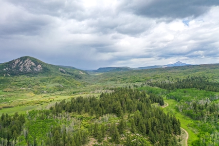 Exceptional Mountain Property for Sale in Dolores CO! - image 24