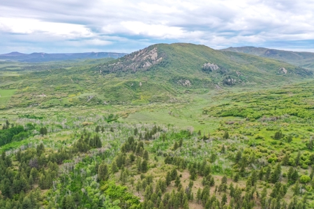 Exceptional Mountain Property for Sale in Dolores CO! - image 5