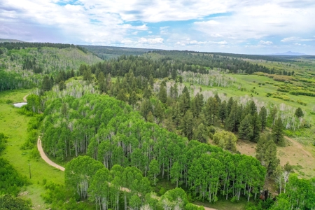 Exceptional Mountain Property for Sale in Dolores CO! - image 12