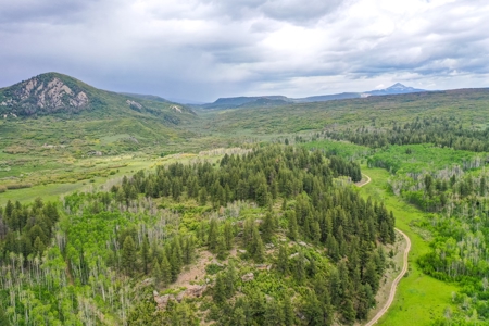 Exceptional Mountain Property for Sale in Dolores CO! - image 25