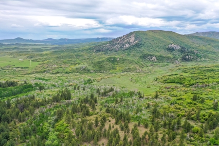 Exceptional Mountain Property for Sale in Dolores CO! - image 6