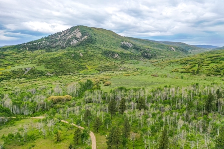 Gorgeous Mountain Acreage for Sale in Dolores Colorado! - image 9