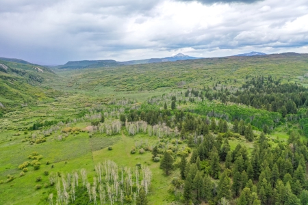 Gorgeous Mountain Acreage for Sale in Dolores Colorado! - image 27