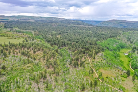 Gorgeous Mountain Acreage for Sale in Dolores Colorado! - image 17