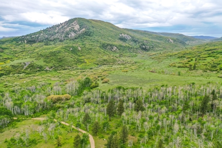 Gorgeous Mountain Acreage for Sale in Dolores Colorado! - image 10