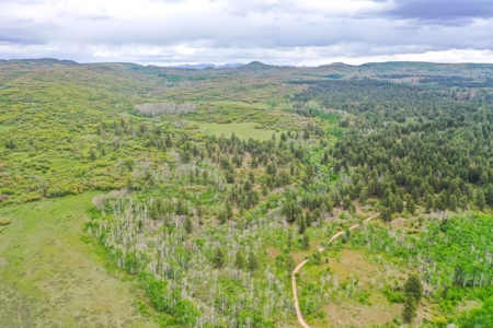 Gorgeous Mountain Acreage for Sale in Dolores Colorado! - image 3