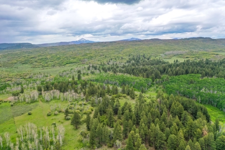 Gorgeous Mountain Acreage for Sale in Dolores Colorado! - image 16