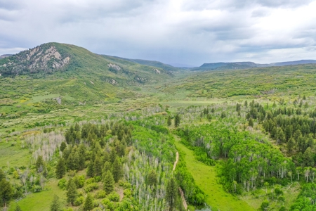 Gorgeous Mountain Acreage for Sale in Dolores Colorado! - image 25