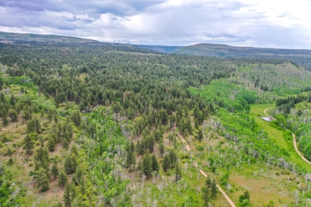 Gorgeous Mountain Acreage for Sale in Dolores Colorado! - image 19