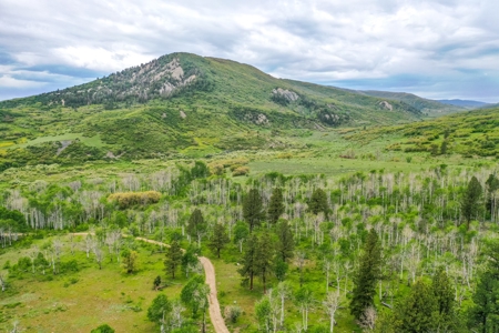 Gorgeous Mountain Acreage for Sale in Dolores Colorado! - image 8