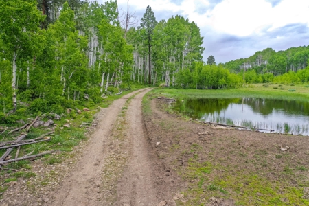 Gorgeous Mountain Acreage for Sale in Dolores Colorado! - image 23