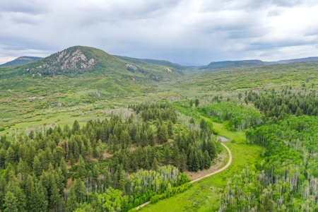 Gorgeous Mountain Acreage for Sale in Dolores Colorado! - image 26
