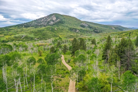 Gorgeous Mountain Acreage for Sale in Dolores Colorado! - image 6