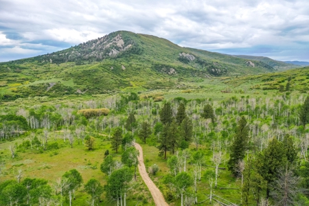 Gorgeous Mountain Acreage for Sale in Dolores Colorado! - image 7