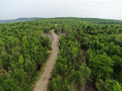 38 Acres of Maine Land for Sale - image 2