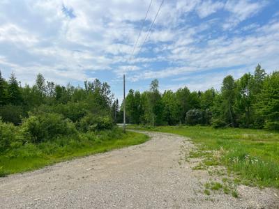 38 Acres of Maine Land for Sale - image 4